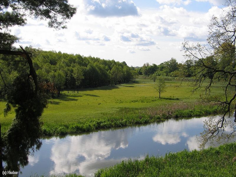 �������� ����. �����.