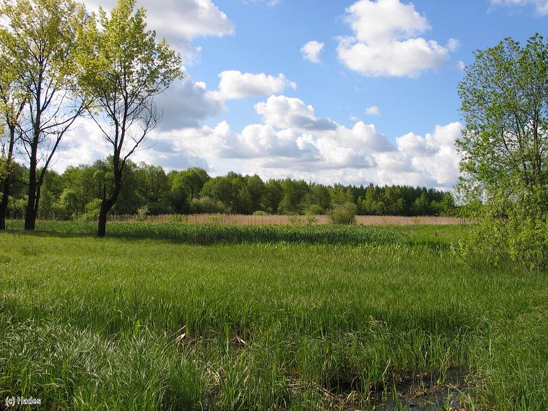 �������� ����. �����.