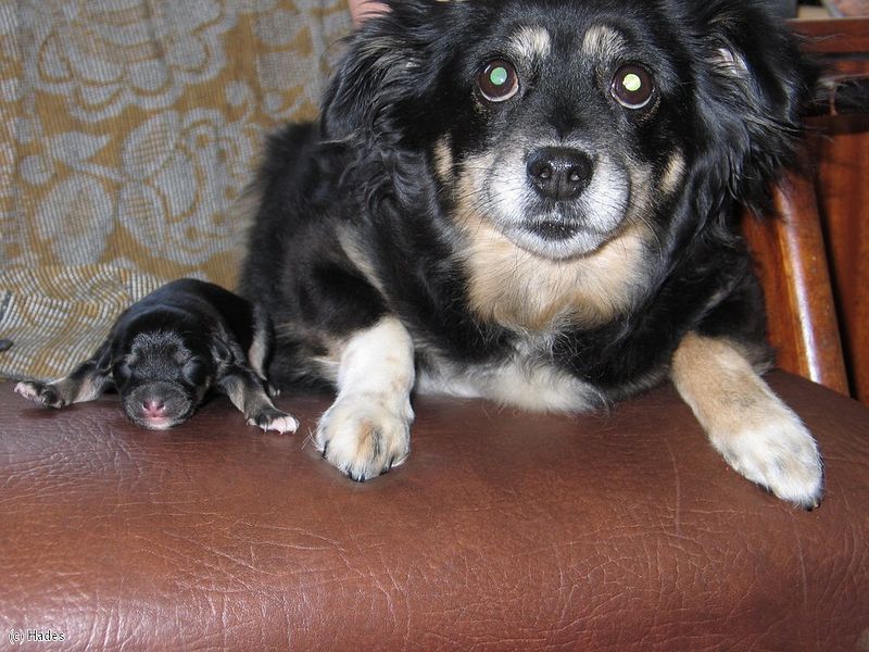 ���� � ��������