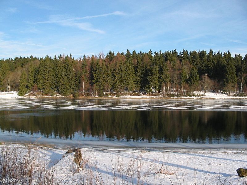 ����� �����