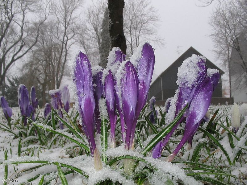 � �� ������, ��� ����� ��� ������