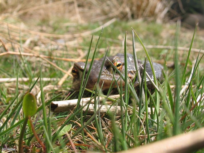 � ������