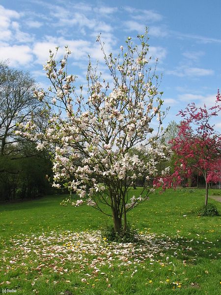 ����� ������ :)