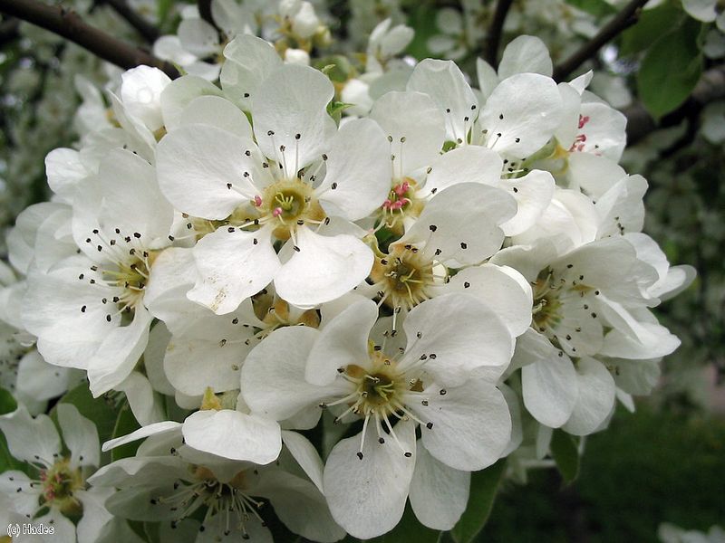 ����� � �����