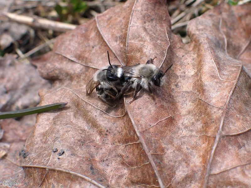 ����� � ����� ������� ;)