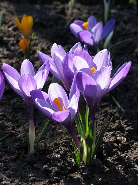 �������