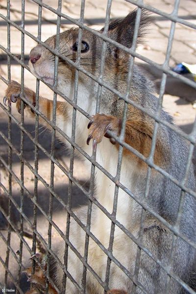 ���� �� ��������...