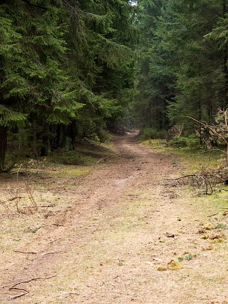 ����������� ���