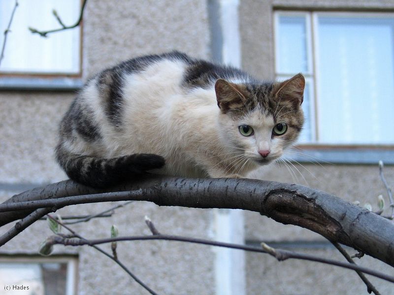 �� � �������� �� �...