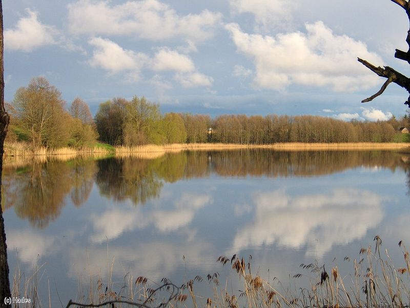 �� ����������� ������