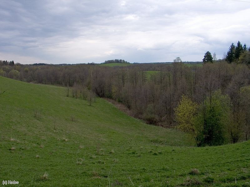 �� ������-������ ��������