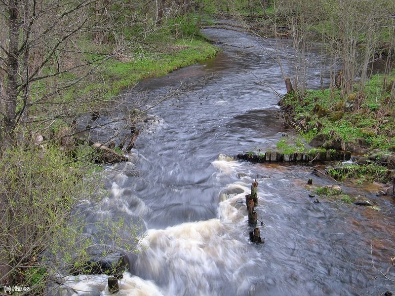 �. ������