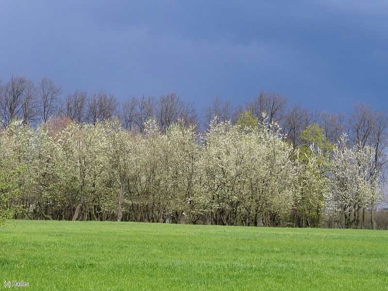 �������� ����. �����.