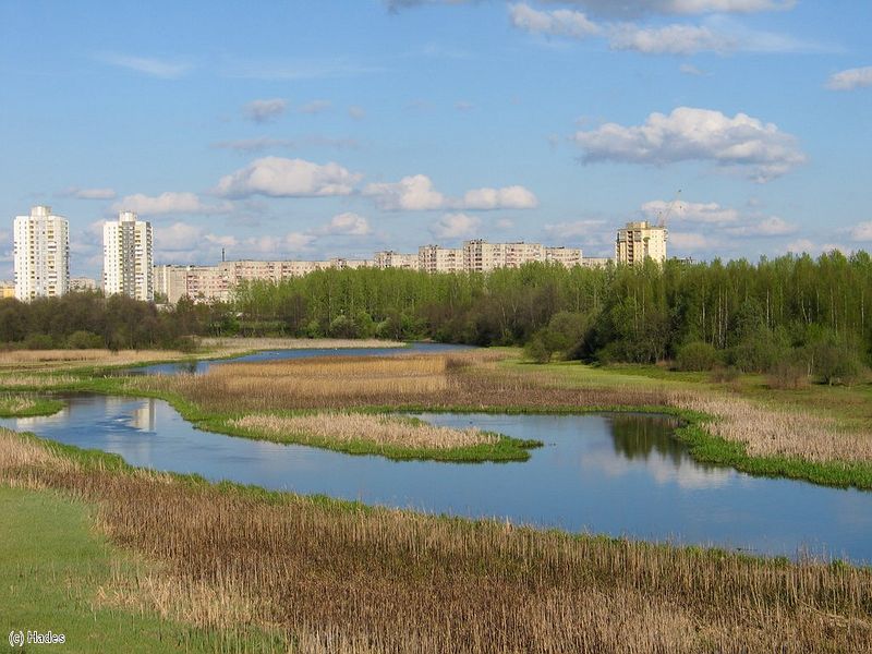 �������� ����. 