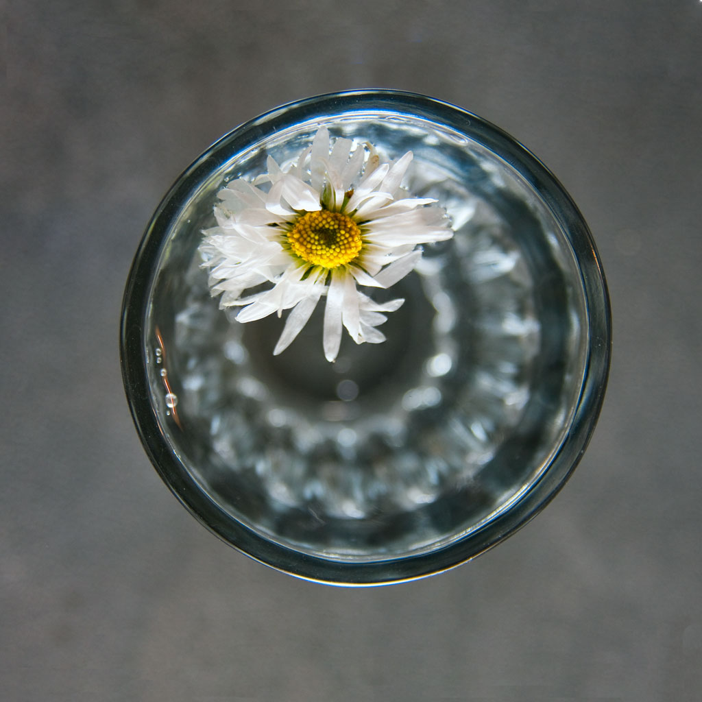 ��������� �������