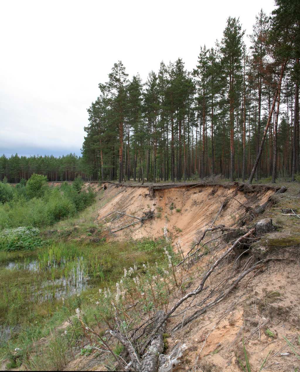 ������ � ����