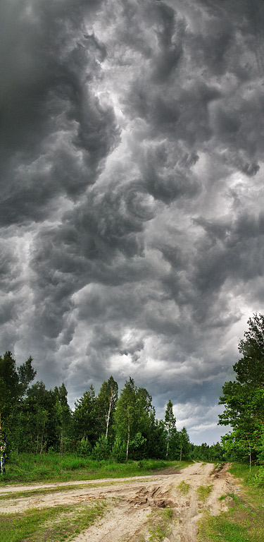 ����� �����