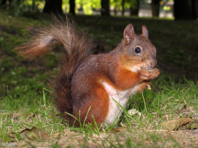 �� ������