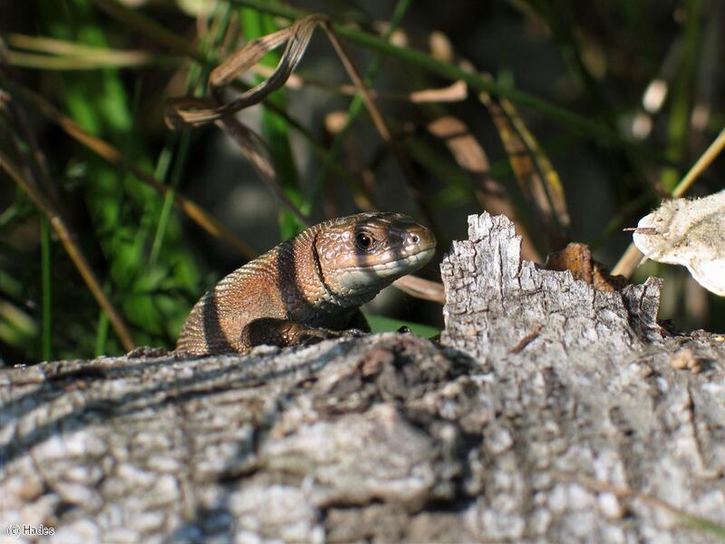 � �� ���?