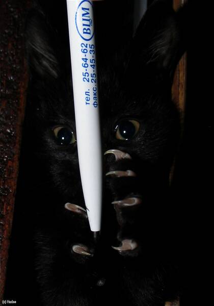 ������ ����..