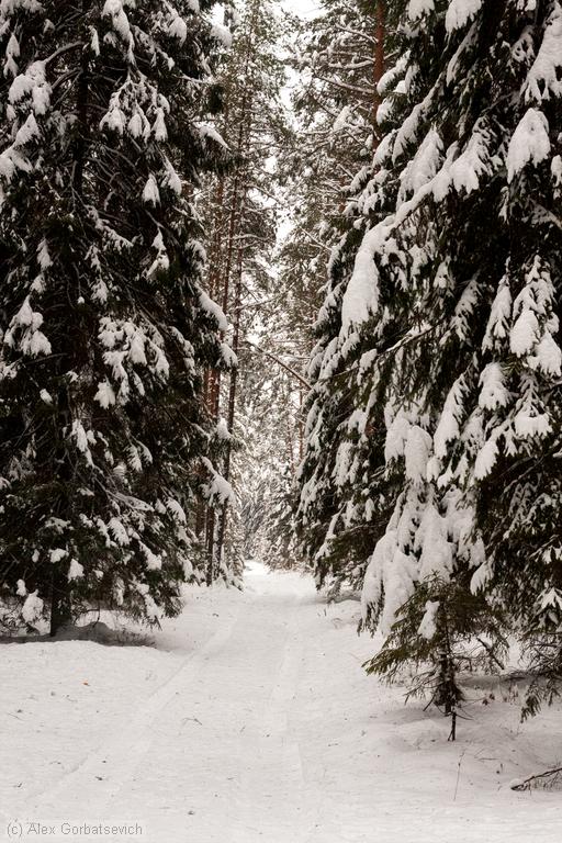 ����������� ������