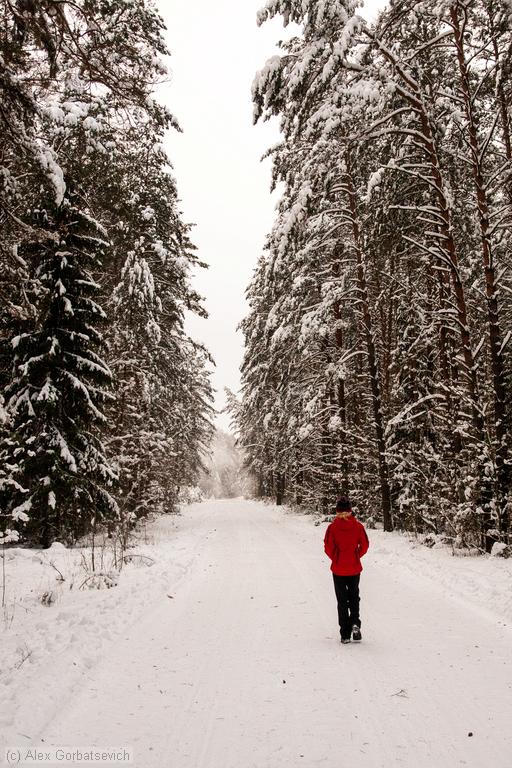 ���������� � ����