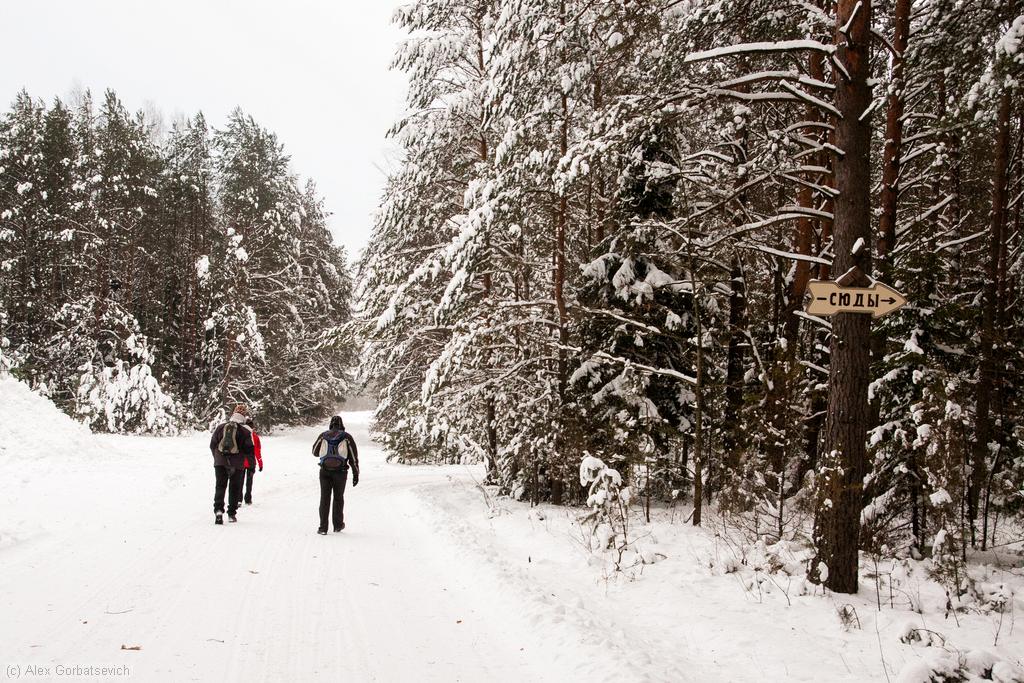 � ��� �� ����