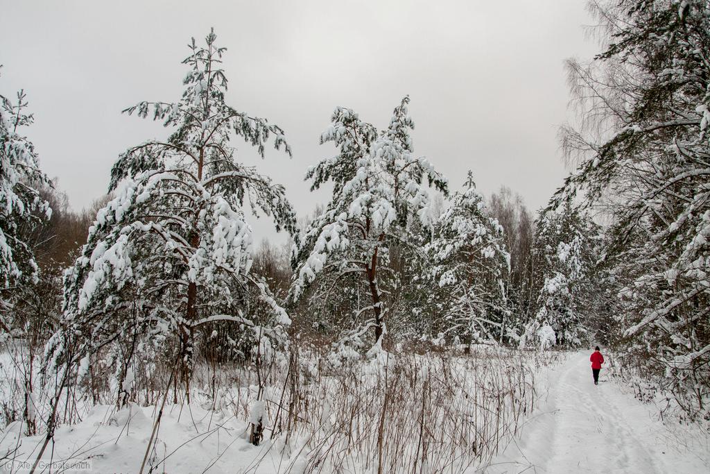 ������� �������� � ����