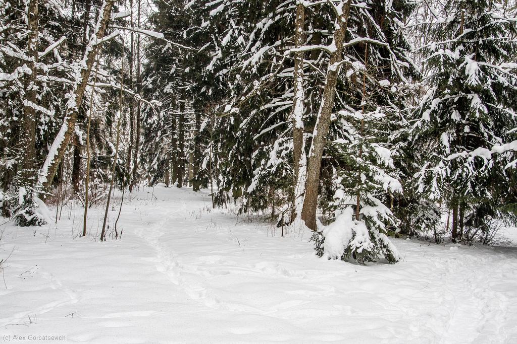 � ������ ����