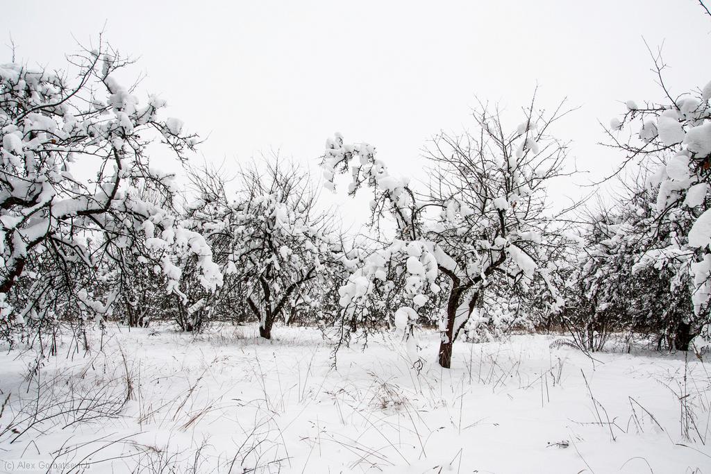 ��������� ���