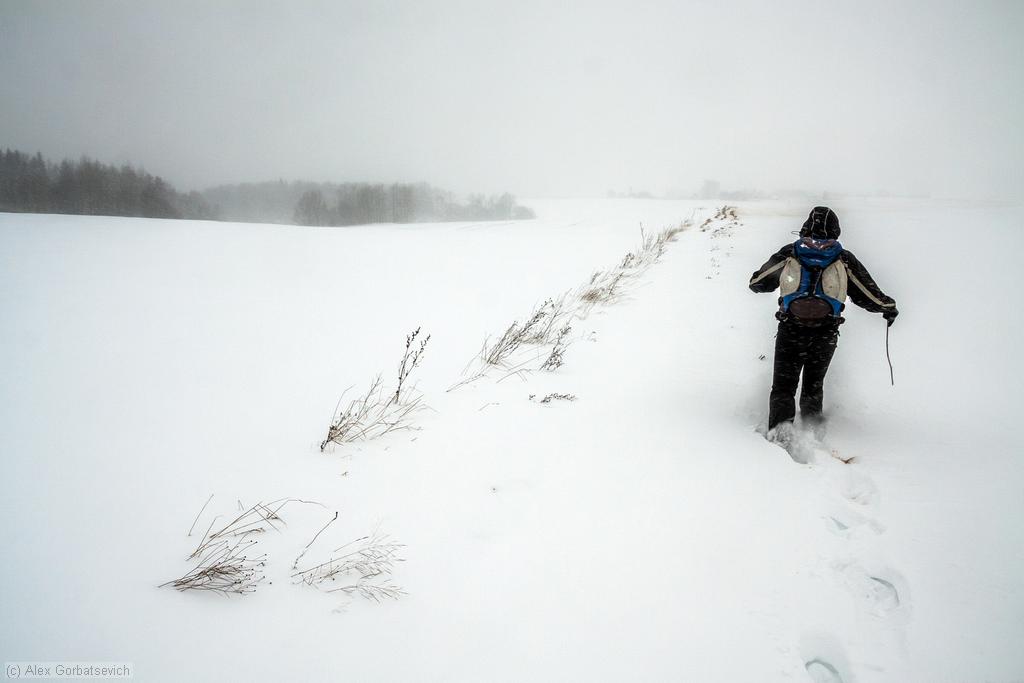 ����� �����