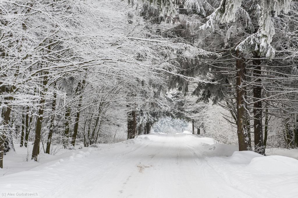 � ������