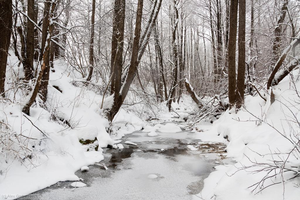 ����� �����