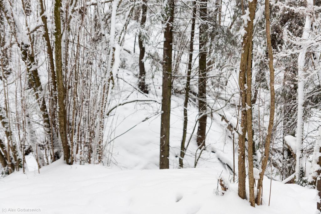 �� ������