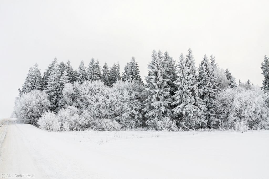 ��� � �����