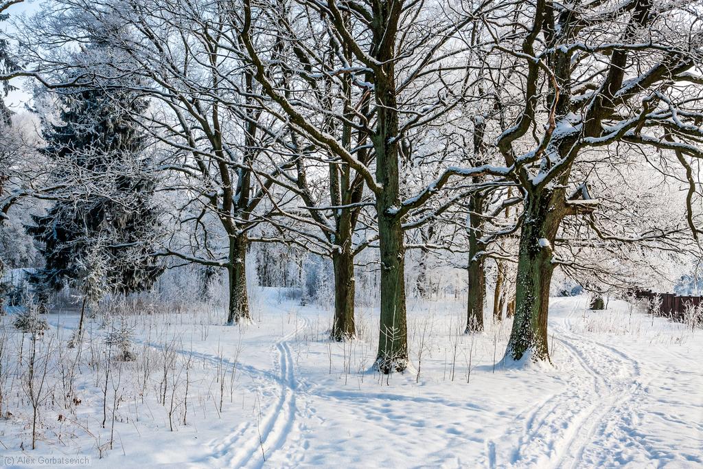 �� ���� �������..