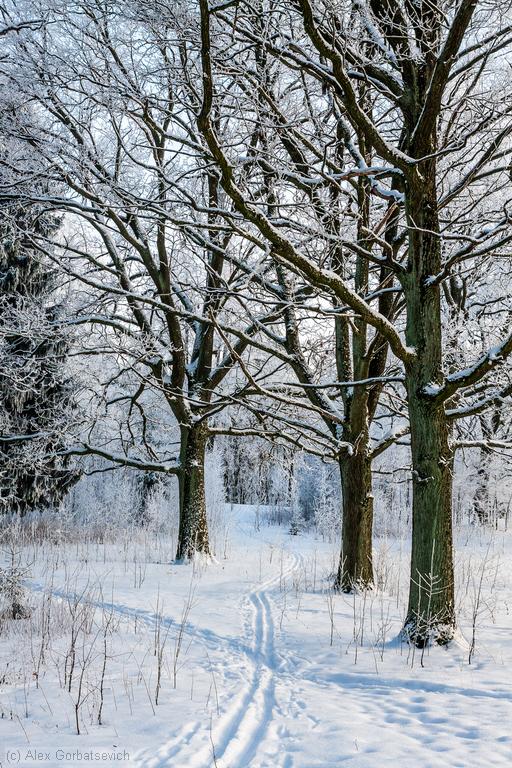 ����� � ������� ����