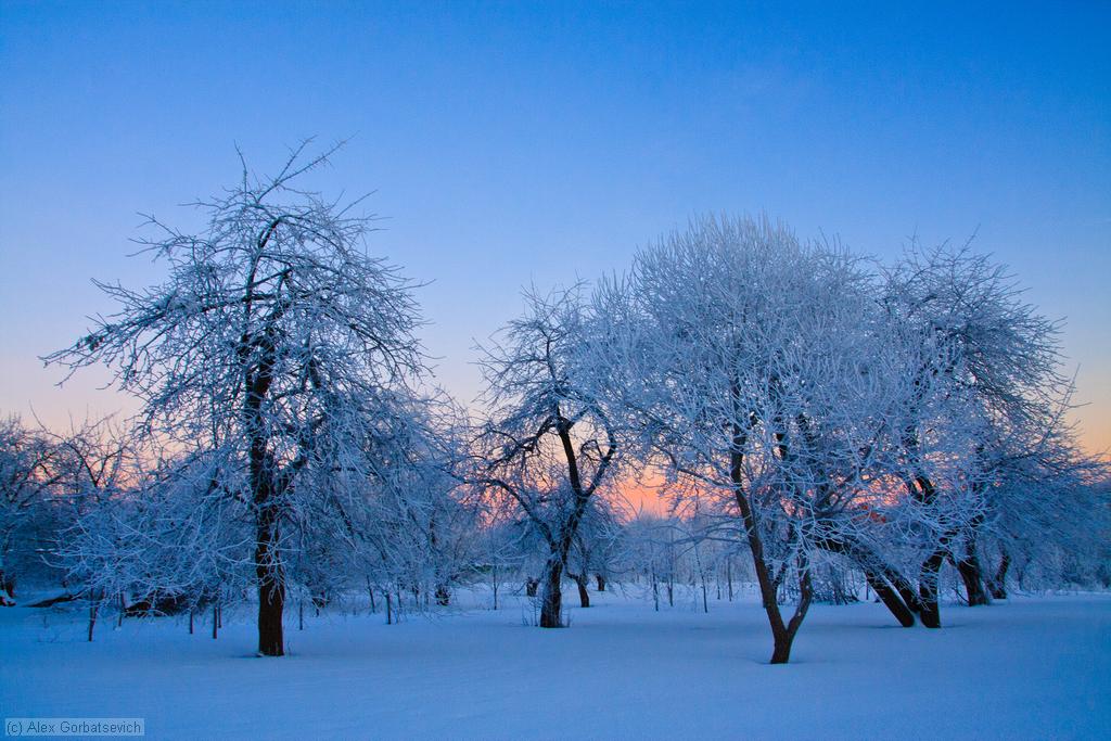 �������� ����