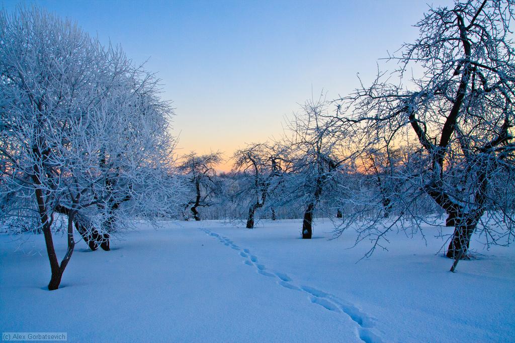 ����� ���������