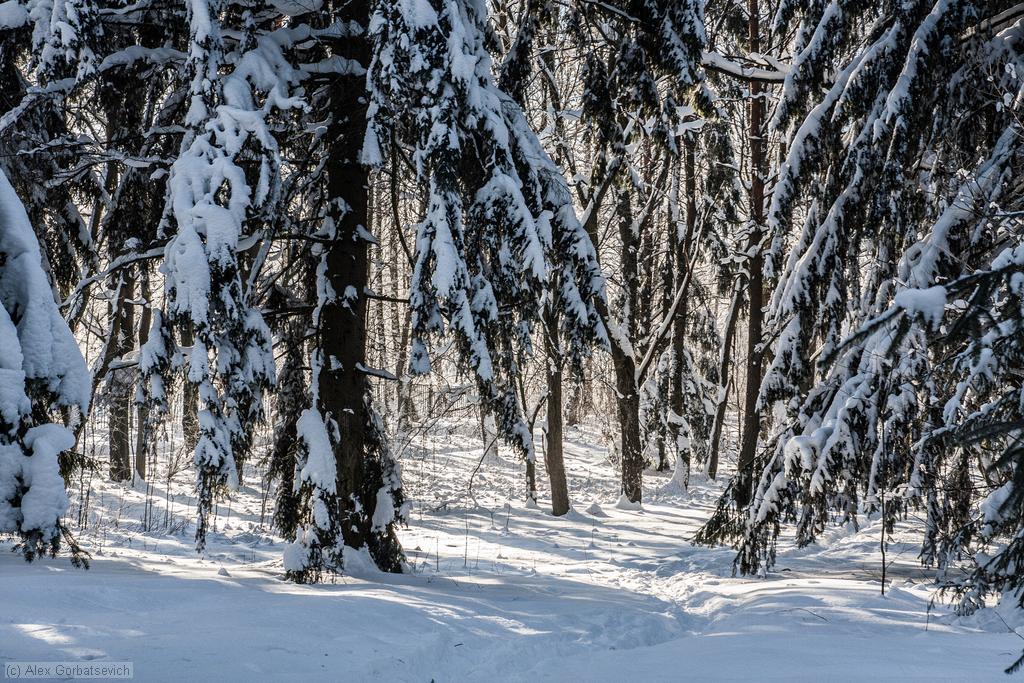 � ������ ������ ����