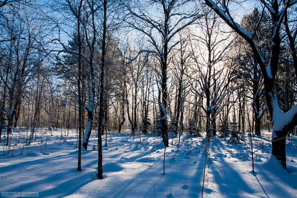 � ����� ��������� ������