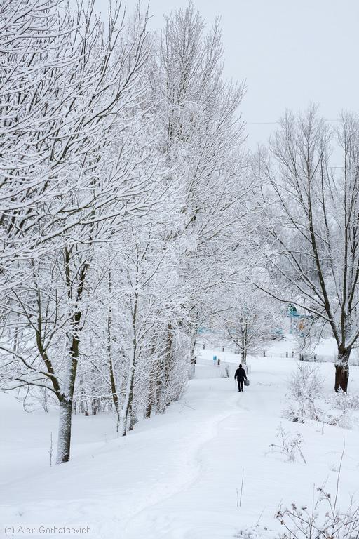 �� �����