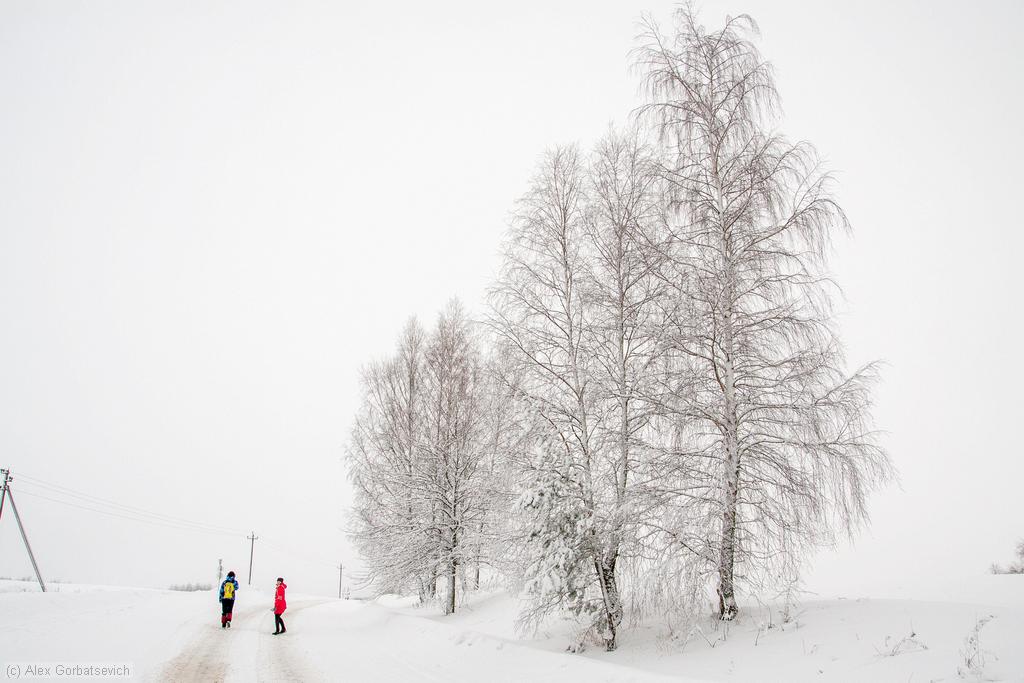 �� ������