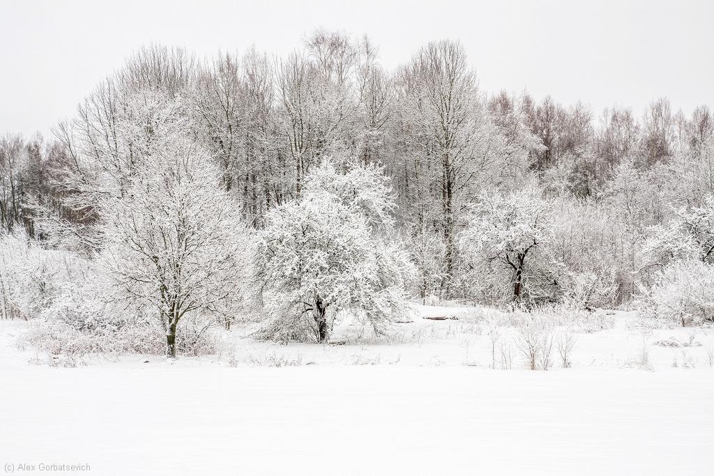 ������ �����