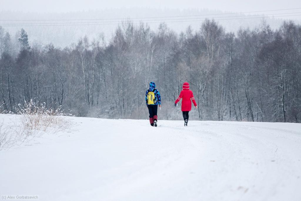 �� ������