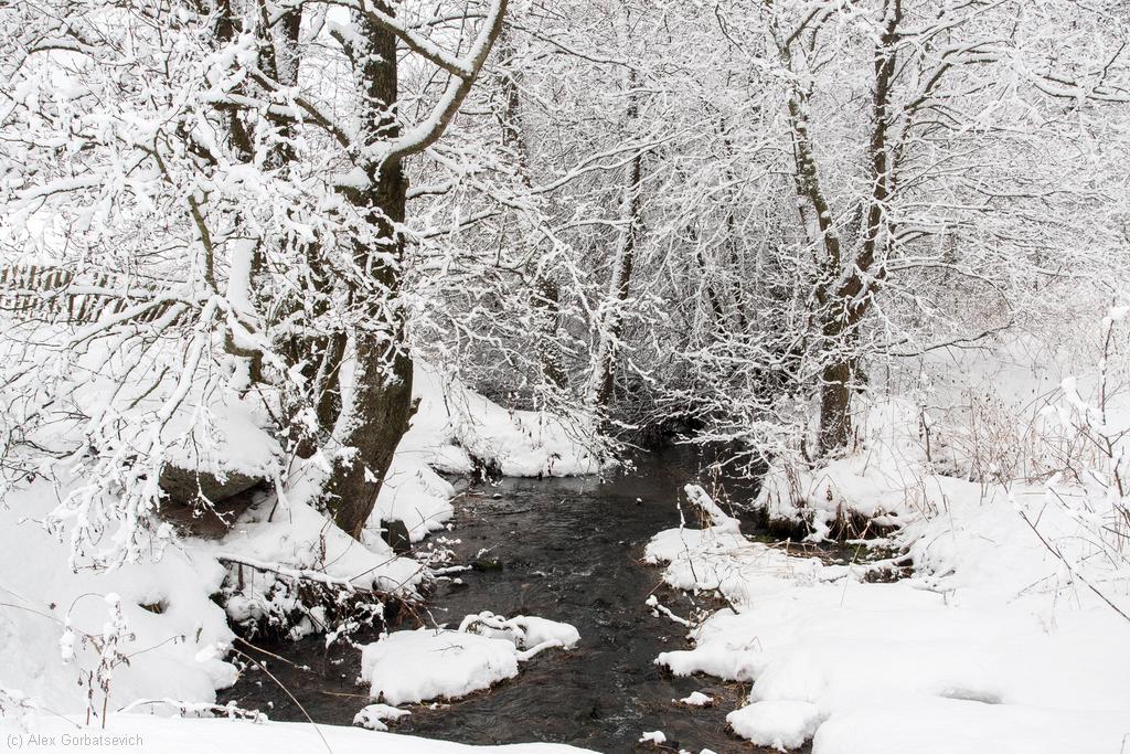 �. ��������