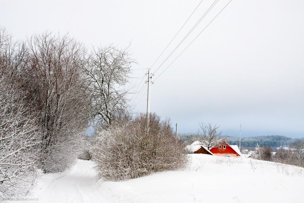 � �������