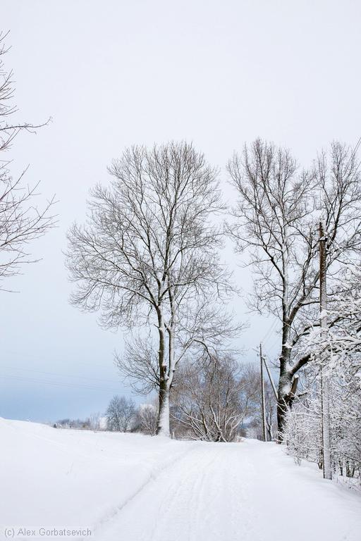 ���� �����������