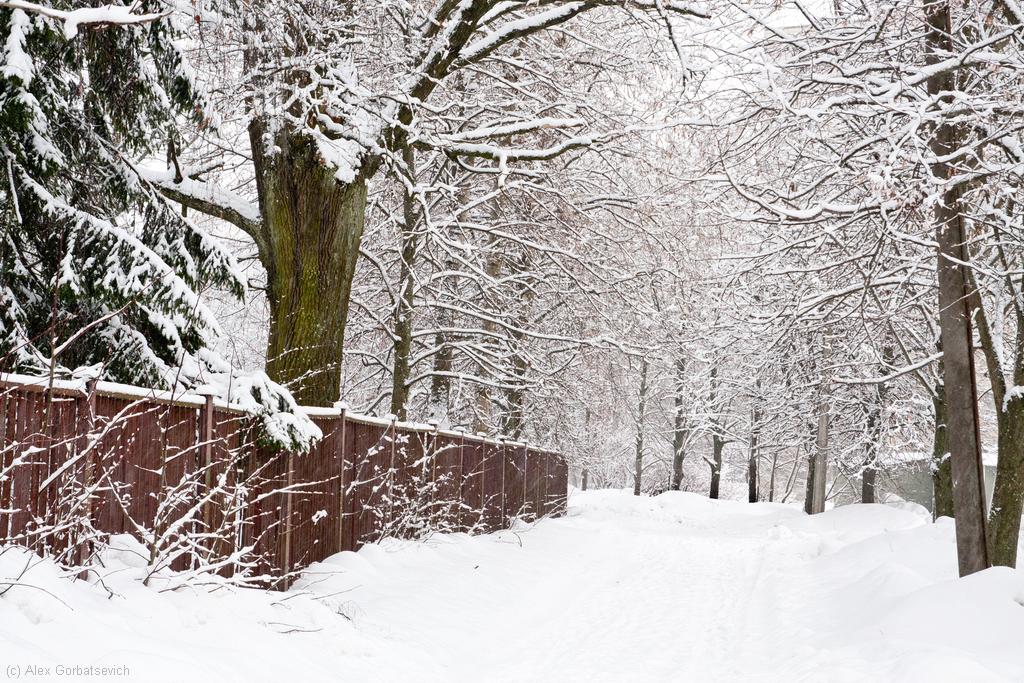 ����� ����