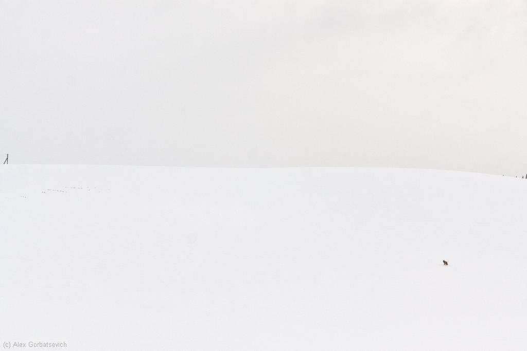 ������������� � �����